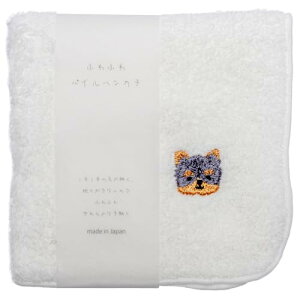 R[WJpj[ nJ` fB[X 22cm×22cm ӂӂ [L[  hJ 184012