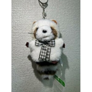 ̂ ~j~jLbY L[z_[ bT[p_  ʂ 48536