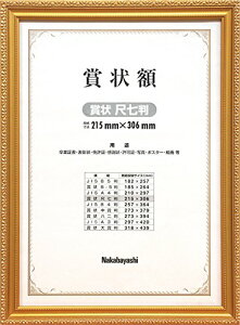 iJoV ؐ܏z PV ܏ ڎ t-KW-203-H [ItBXpi]