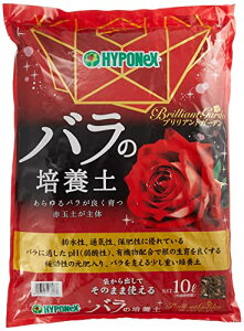 nC|lbNX BGo̔|{y 10L W