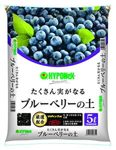 nC|lbNXWp p|{y u[x[̓y 5L