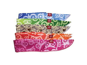 Gkbg (Nrit) ACX}N[ XXJ[t 1610115 IW