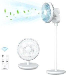 yTCLO_z@ DC T[L[^[ dc[^[ 6H @ dc rO@ ㉺EU 3i߉\ 6i