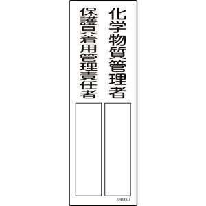 Ώ\ ӔCҎW wǗҁ^یpǗӔC 607 300×100mm Gr 046607