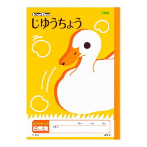 AsJ wK XN[LbY B5 䂤傤 SL740 1