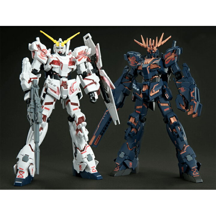楽天市場】BANDAI × NIKE SB/ バンダイ ナイキ機動戦士ガンダム UC HG 