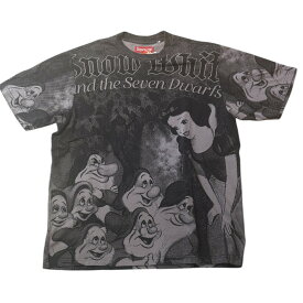 2024FW Supreme / シュプリームSupreme 2024FW Snow White S/S Top Grey /スノーホワイトGrey / グレー 正規品 新古品【中古】
