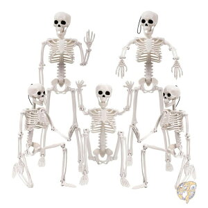 yN[|zMz[  nEB XPg fR[V 5Zbg 40cm Sg KCRc XIMI-US-HA094M1P2 XIMISHOP