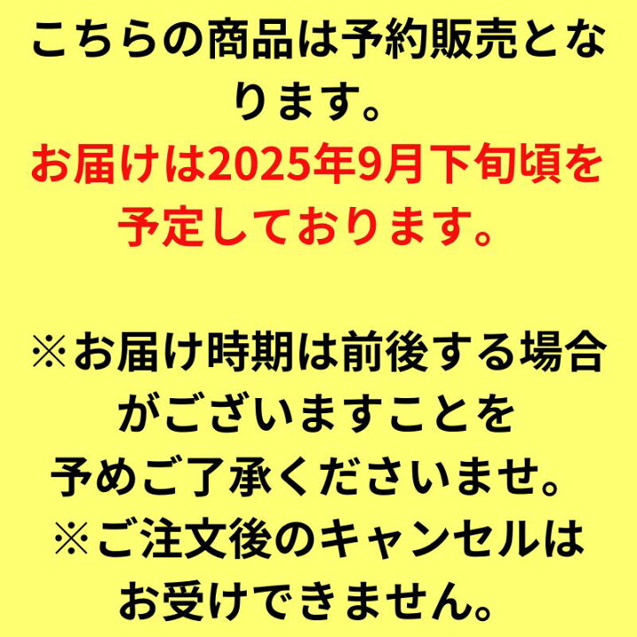 楽天市場】東京シリーズ 限定 記念 ミニ ボブルヘッド 大谷翔平 今永  