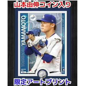R{RL Vo[RC A[gt[ CZX MLB hW[X RNVtHg~g USA The Highland Mint R{ z tHg RC 20×28cm Yoshinobu Yamamoto Artist