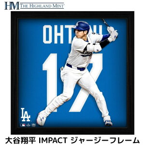 Jĕ T[XEhW[X IMPACT W[W[t[@MLBCZX nCh~g 33cm × 33cmi13" × 13"jA[gt[ RN^[YACe JI JRNV