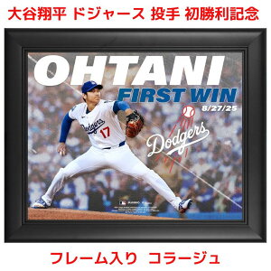 yN[|zMzJĕ 攭  LO t[R[W 43.2cm × 50.8cm × 2.5cm JI sb`[ RNV z Shohei Ohtani Los Angeles Dodgers