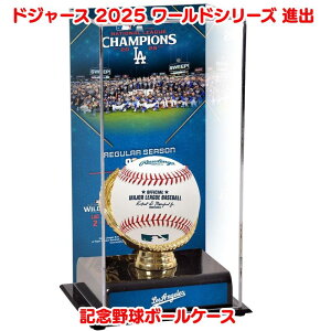 T[XEhW[X 2025 iVi[O DLO 싅{[ fBXvCP[X hW[XRNV [hV[Yio |XgV[Y 싅{[ۑ Mtg Los Angeles D