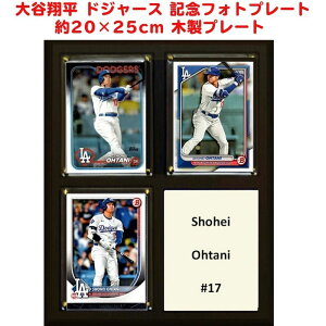 y|Cg3{4&5zJĕ hW[X LOtHgv[g g[fBOJ[h gJ@20×25cm ؐv[g C&I Collectibles MLB Ki ANJo[t JI RNV