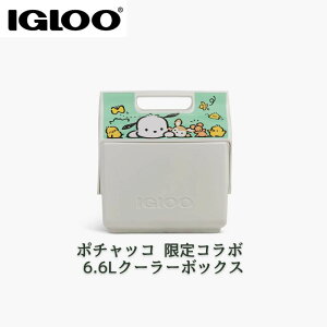 �y�ő�2000�~�N�[�|��15���z�C�O���[ Igloo �|�`���b�R ����R���{ �N�[���[�{�b�N�X Little Playmate 7QT�i��6.6L�j �T�����I �ۗ�o�b�O �A�E�g�h�A