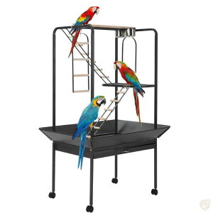 �C���R �~�܂�؁E�n�V�S���� Garvee�i�K�[�r�[�j 162.5cm (64�C���`) �o�[�h�E�v���C�Z���^�[ ��^�C���R���� �v���C�X�y�[�X �ړ����X�^���h �����o���g���C�t ��^
