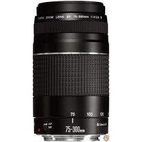 楽天市場】canon ef75－300mmの通販