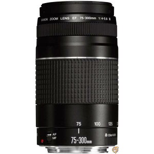 Canon EF�����Y EF75-300mm F4-5.6 III�Y�[�������Y �]�� ���s�A���i ��������