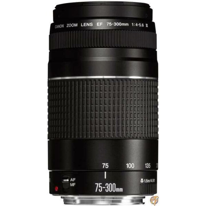 楽天市場】【最大2026円クーポン配信中】Canon EFレンズ EF75-300mm F4 