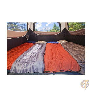 Coleman R[} 6lp CX^geg ^b` ȒPgݗ 1Őݒu\ uE ubN sAi 