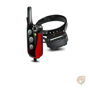 hbOg Dogtra p  IQ [h g[jO J[[ R ^p sAi 