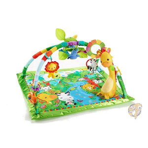 �y300�~�N�[�|���z�M���zFisher Price �t�B�b�V���[�v���C�X ���C���t�H���X�g�E�f���b�N�X�W�� ���s�A�� ��������