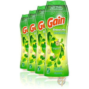 y|Cg3{!42028ԁzQC F Gain IS-AF001 r[Y 10IX 4{  IWi 