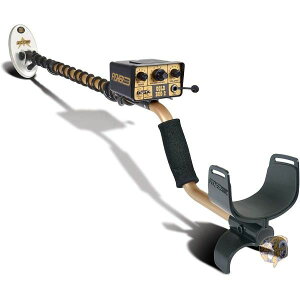 y300~N[|zMzTm tBbV[Fisher S[hoO 2 GOLDBUG ȉ~T[`RCt 