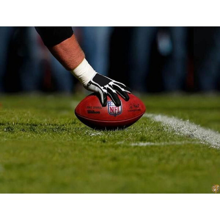 楽天市場】【20日最大4000円クーポン】Wilson The Duke公式NFLゲーム 