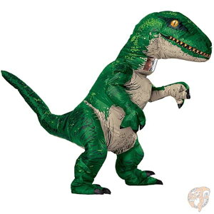 Rubie's lp GARX _Ci\[ Standard  c RX`[ FLvg nEB Cxg 