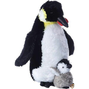 Aurora World I[[h cyM̐eqʂ 30cm sAi