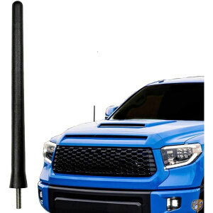 AntennaMastsRus - Aei2000-2019g^^^hƌ݊܂ pAeiB 6 3/4" Inch 