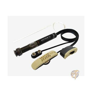 �y300�~�N�[�|���z�M���zL.R.Baggs�G���A�[���o�b�N�X Anthem SL �A�R�[�X�e�B�b�N�M�^�[�p�s�b�N�A�b�v ���s�A���i ��������