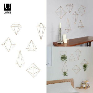 �y�N�[�|���z�M���z�y6��set�zUmbra �E�H�[���f�R���[�V���� ���^�����C���[ Copper�A�����J�A���Ƌ� �A�����J�A���G�� ��������