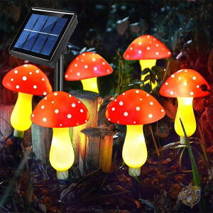 \[[ LmR Cg O nEB NX}X 6Zbg Abkshine AuNVC