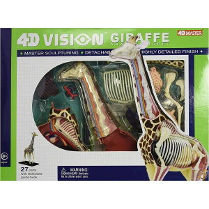 [tFC}X^[]Fame Master Famemaster 4D Vision Giraffe Anatomy Model 26106