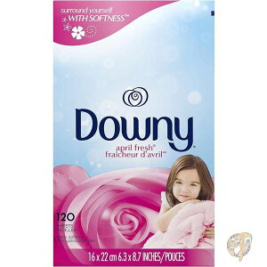 _Ej[ Downy GCvtbV _܃hC[V[g 120 thomaswi