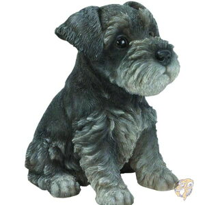 y|Cg3{4&5zViEU[ u q  17cm CeA OfR[V 87771-E Hi-Line Gift Ltd