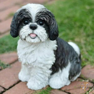 y1000~/555~N[|26ԁzV[Y[ u 茢  CeA OfR[V 87762 Hi-Line Gift Ltd nCC Mtg