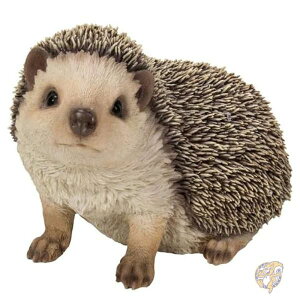 nlY~  u CeA OfR[V 87743-A Hi-Line Gift Ltd nCC Mtg