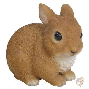 y1000~/555~N[|26ԁzETM̑ ~j u CeA OfR[V 87739-B Hi-Line Gift Ltd