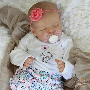 y|Cg2{_tf[z{[h[ Ԃl` {[xr[h[ 43cm A \tg{fB V 