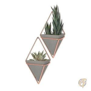 yN[|zMzUmbra Trigg Hanging Planter Vase Geometric Wall Decor Container Concrete Resin Copper Set of 2 Aؔ ǖʎ[ 2Zbg 