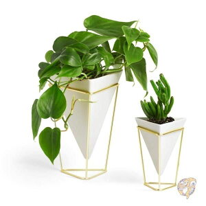 y|Cg3{4&5zAu fXN[ A؂΂ 2ZbgsA 