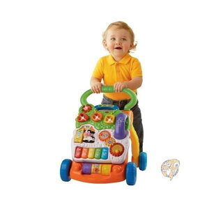 y300~N[|zMzVtech sit-to-standwKEH[J[ Standard Packaging 80-077000 