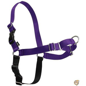 PetSafe C[W[EH[Nn[lX (SM, fB[vp[vubN) 
