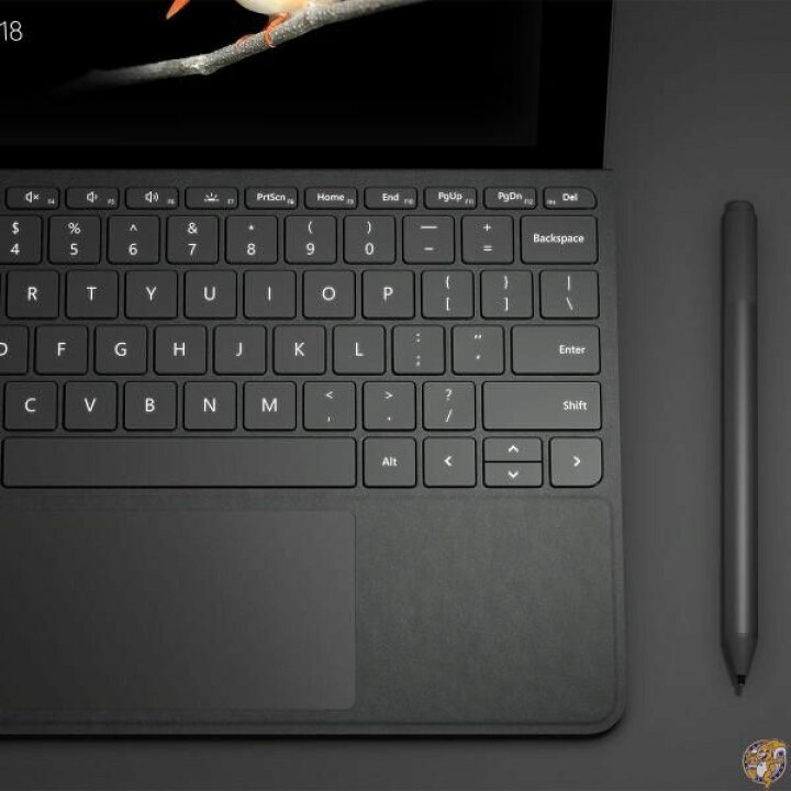 楽天市場】Surface Go Signature タイプ カバー [US 英語版 英字配列 