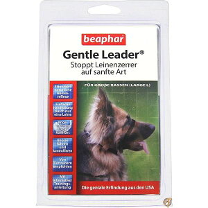 r[t@[ ^WFg[h L TCY ubN[h isAij