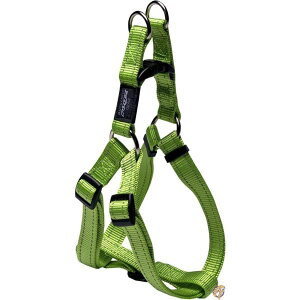 OY[eBeB[ t@xgLTCYpn[lX Lime (sAi)