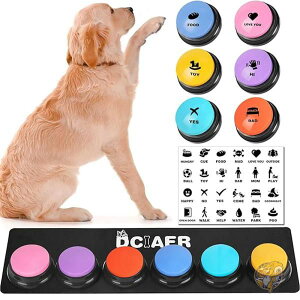 R~jP[Vp {^ b{^ 4 V[p^[24 }bg P4dr8{t ybgTEhg[jO DCIAER